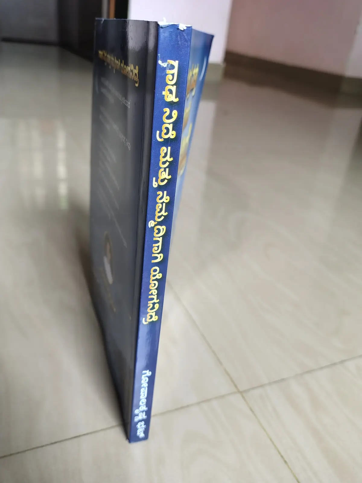 ಪುಸ್ತಕದ ದಪ್ಪವನ್ನು ತೋರಿಸುವ ನೈಜ ಪಾರ್ಶ್ವ ನೋಟ